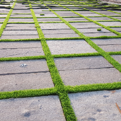 stone_paving